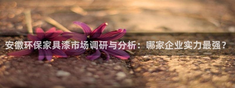 杏宇网址官网