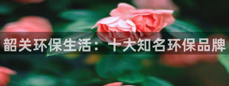 杏宇平台网站是什么