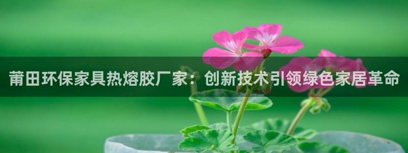 杏宇平台在哪里：莆田环保家具热熔胶厂家：创新技术引领绿色家居