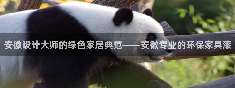 杏宇软件