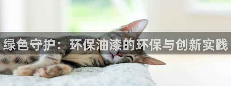 杏宇网址官网