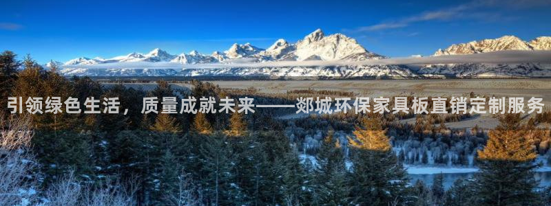 杏宇平台登录：引领绿色生活，质量成就未来——郯城环保家具板直
