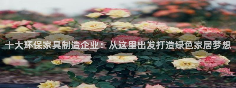 杏宇平台服务中心：十大环保家具制造企业：从这里出发打造绿色家