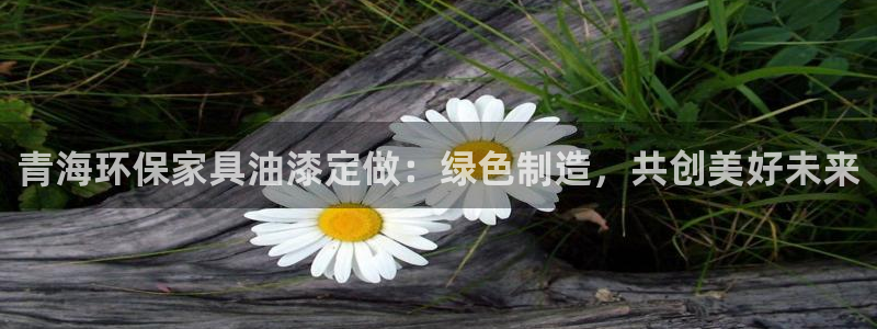 杏宇平台还在吗：青海环保家具油漆定做：绿色制造，共创美好未来