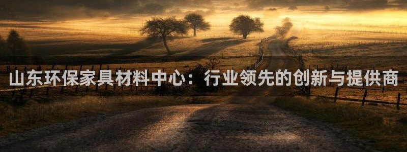杏宇平台手机下载：山东环保家具材料中心：行业领先的创新与提供