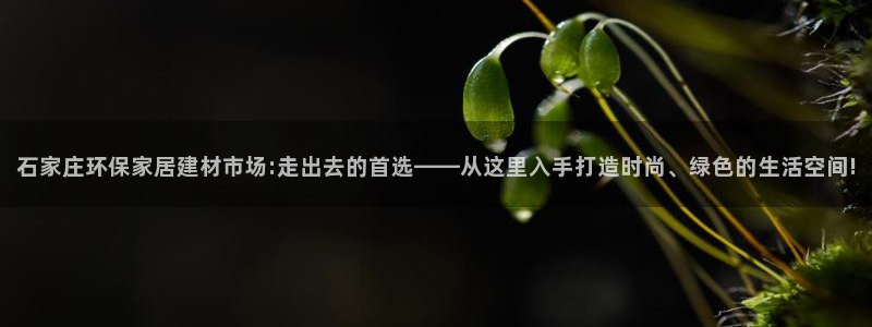 杏宇平台娱乐登陆：石家庄环保家居建材市场:走出去的首选——从