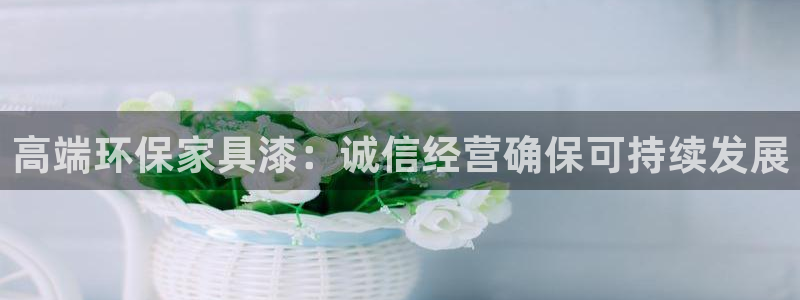 杏宇官网客服：高端环保家具漆：诚信经营确保可持续发展