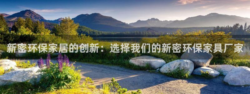 杏宇线路5检测：新密环保家居的创新：选择我们的新密环保家具厂