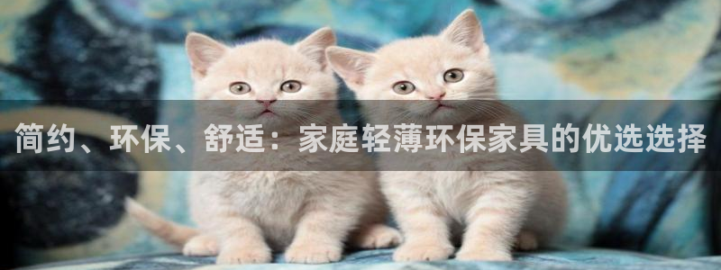 杏宇代理登录中心：简约、环保、舒适：家庭轻薄环保家具的优选选