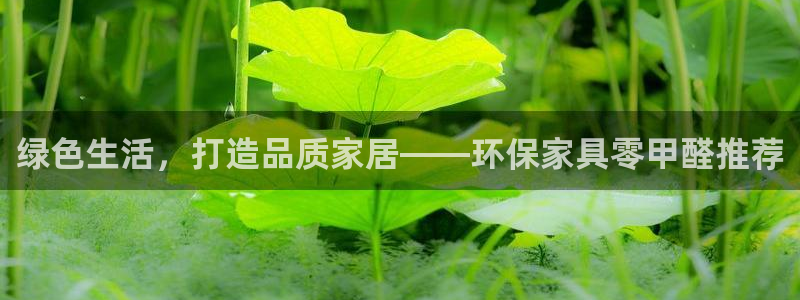 杏宇软件：绿色生活，打造品质家居——环保家具零甲醛推荐