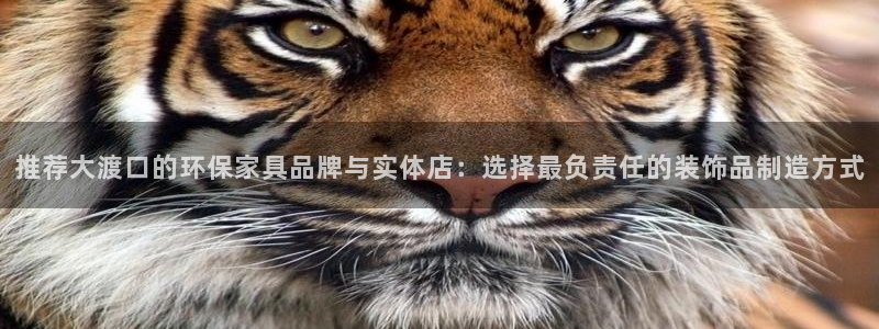 杏宇平台代理注册多少钱一年：推荐大渡口的环保家具品牌与实体店