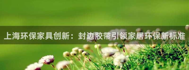 杏宇线路测速登录中心：上海环保家具创新：封边胶带引领家居环保