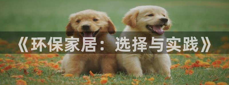 杏宇平台没有了