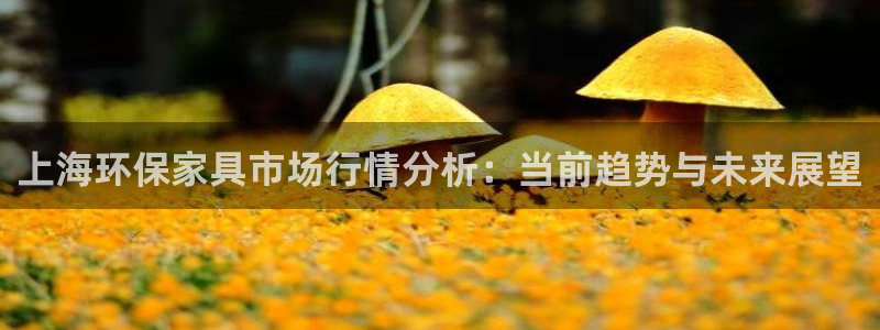 杏宇官网注册：上海环保家具市场行情分析：当前趋势与未来展望