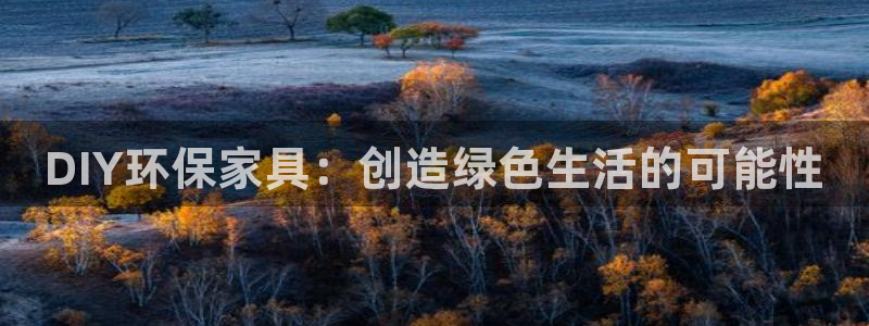 杏宇客户端登录：DIY环保家具：创造绿色生活的可能性