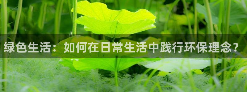 杏宇平台服务中心电话号码