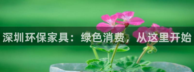 杏宇官方网：深圳环保家具：绿色消费，从这里开始