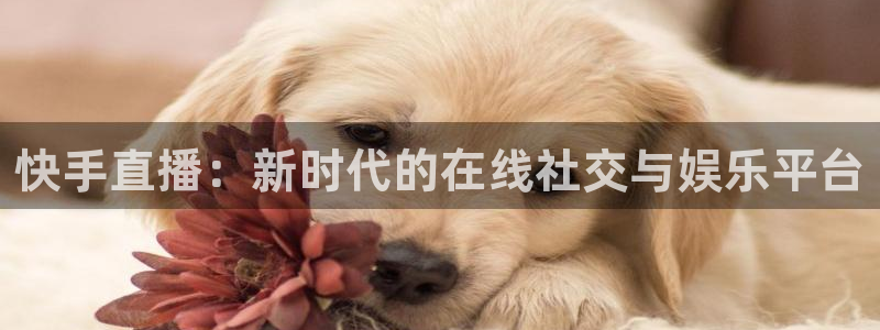 蓝鲸鱼直播app