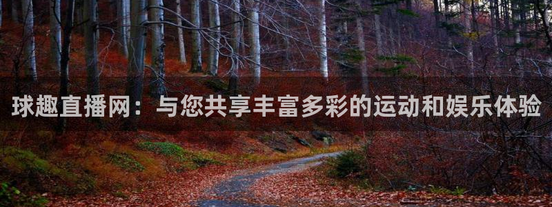 鲸鱼体育免费观看高清：球趣直播网：与您共享丰富多彩的运动和娱乐体验